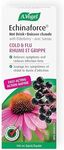 A.Vogel Echinaforce Extra Hot Drink with Elderberry and Echinacea | Extra-Strength Formula | Relieves Common Cold and Flu Symptoms | Immune booster | Children 2+ | 100mL