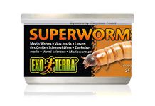 Exo Terra Canned Superworms - 34 g (1.2 oz)