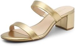 DREAM PAIRS Women's Two Strap Open Toe Low Block Chunky Heels Sandals Dress Pumps Shoes,Size 9,Gold-Pu,DHS213-1