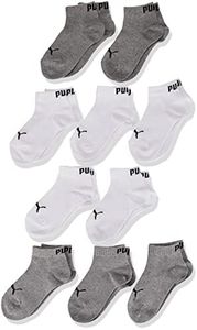 Puma Quart