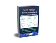Price Action Trading Reversal and Continuation Patterns : How To Read Chart Patterns and Price Movement Using Trendline and Channel Trading Strategies