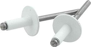 Allstar Performance ALL18156 White 3/16" Large Head Rivet, (Pack of 250)