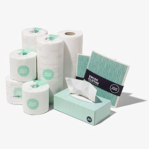 Save Trees Bamboo Toilet Paper, Paper Towels, Tissues, & Swedish Dishcloths - Complete Box - 24 Rolls Bamboo Toilet Paper, 12 Rolls Bamboo Paper Towels, 4 Boxes Bamboo Facial Tissues