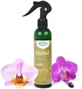 Orchid Fer