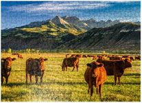 MyPuzzle Fall On A Colorado Cattle 