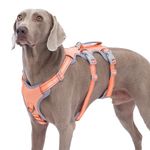 Huntboo Escape Proof Dog Harness, No Pull Reflective Harness with Lift Handle, Adjustable Pet Vest with Front and Back Leash Clips for Small Medium Large Dogs Walking Hiking Training (Orange,L)