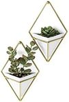 Umbra Trigg Hanging Planter Vase & 