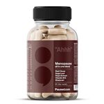 Paused Menopause Relief Tablets - 60 Capsules | All-in-One Calcium, Vitamins & Herbal Extracts | for Hot Flashes, Mood Relief, Energy & Joint Support | Women's Health Supplements