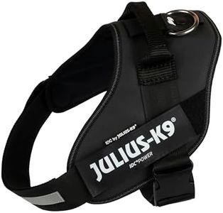 IDC Powerharness, Size: 2/XL, Black - Faux Leather