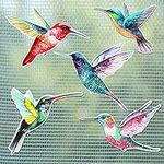 10 Pieces Watercolor Humming Bird S