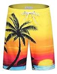 iCKER Mens Swim Shorts Swimming Trunks 3D Print Beach Shorts Boardshorts for Summer