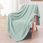 Exclusivo Mezcla Extra Large Fleece Throw Blanket, 127x178 CM Soft Jacquard Weave Waffle Pattern Throws for Sofa Settees, Mint Green Blanket