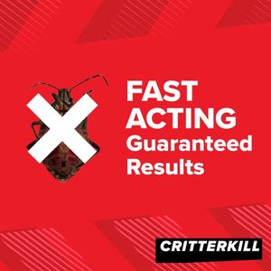 CritterKill Bed Bug Killer Spray 5L – Fast-Acting Insecticide