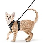 rabbitgoo Escape-Proof Cat Kitten Harness with Leash Set for Walking, Kitty Small Dog Harness with Leash Adjustable Reflective Strips Vest Harnesses for Small Medium Cats, XS Black