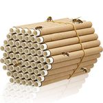 Lewtemi 120 Pcs Mason Bee House Tube Refill Cardboard Bee Tube Paper Mason Bee Tube Beekeeper Cardboard Insert Beekeeping Supplies for Solitary Beehive House Garden Pollinator Bee House Nest Tube