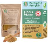 Organic Lions Mane mushroom powder extract by Ecogenya - Proudly Canadian fruiting body extract (100 Grams)