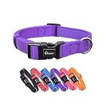 Olahibi Soft and Comfortable Neoprene Padded Nylon Basic Dog Collar Solid Color pattern for Medium Dogs.(M, Purple Collar)