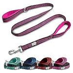 Black Rhino Dog Leash - Heavy Duty - Medium and Large Dogs - 5ft Long Leashes - Two Traffic Padded Comfort Handles for Safety Control Training - Double Handle Reflective Lead - (5 Ft, Pink/Bl)