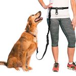 The Buddy System Adjustable Hands Free Dog Leash for Running, Jogging and Training Service Dogs Made in USA (Large Belt 27"- 50" Waist), Bundle Leash + Lunge Buster