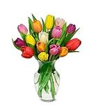 From You Flowers - Rainbow Tulip Bo