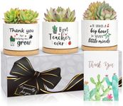 UAREHIBY Teacher Appreciation Gifts for Women Men in Bulk,End of Year Present from Student,Succulent Plant Pot Gifts for Teacher,Unique Thank You Teacher Gifts Idea, 1, White