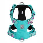 PetsUp 3M Reflective Mesh Padded Dog Vest Front Range No Pull Harness with Handle (XL, Baltic Pink)