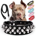 Dog Collars for Medium Dogs with Le