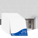 Muzata 12Pack 2×2 Drop Ceiling Tiles 24x24 White Smooth Healthy PVC Ceiling Panel Covers About 48sqft Waterproof Fire-Rated for Bathroom Basement Easy Drop-in Installation TBP0