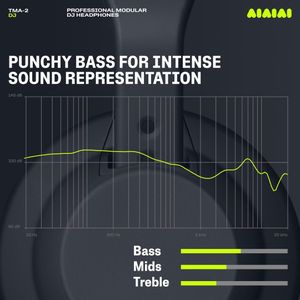 AIAIAI TMA-2 DJ Headphones – Black, Over-Ear Studio Monitor