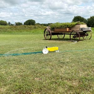 Nelson Rain Train Traveling Lawn Sprinkler – Heavy Duty, Large Area, Yellow