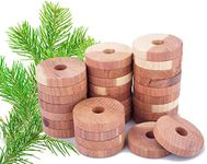 Clean Living™ Natural Aromatic Cedar Wood Rings Repellent - Pack of 36