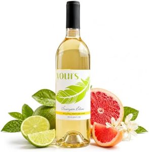YOURS Non-Alcoholic White Wine – Sauvignon Blanc, Alcohol-Removed 750mL Bottle, Crisp Citrus Lime & Grapefruit Notes, Low Sugar, Low Calorie, Serve Chilled