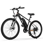 Qlife Racer Electric Bike for Adult
