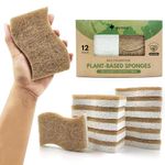 AIRNEX Biodegradable Natural Kitchen Sponge - Compostable Cellulose and Coconut Walnut Scrubber Sponge - Eco Friendly Sponges for Dishes (12 Pack)