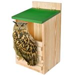 Owl House,Screech Owl House with Bird Stand