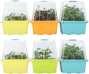6 Pcs Microgreen Growing Tray with 
