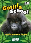 Gorilla School [DVD]