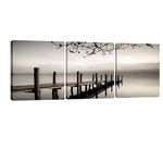 Pyradecor Peace Large Modern 3 panels B & W Gallery Wrapped Landscape Giclee Canvas Print on Canvas Wall Art Work Ready to Hang for Living Room Kitchen Home Office Decorations AH3018-5050