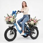 ESKUTE E Trike Electric Bike, Peak