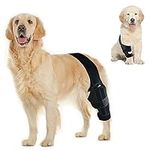 Petmingham Dog Knee Brace for ACL, Knee Cap Dislocation, Arthritis - Joint Pain, Muscle Sore - Better Recovery - Reduces Pain and Inflammation -Adjustable Dog Rear Leg Braces (Size: L)