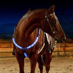 LucaSng LED Horse Breastplate Collar - High Visibility Tack For Horseback Riding Adjustable Safety Gear - Adjustable, Sturdy & Comfortable Equestrian Safety Gear for Night Horse Riding (Blue)