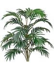 Fourwalls Beautiful Artificial Areca Palm Plant Without Vase (21 Leaves, 75 cm Tall, Green)