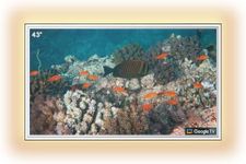 Soulaca 43inch Bathroom Mirror TV w