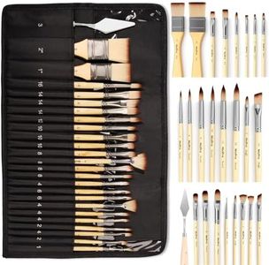 Nicpro 24 Pièces Artiste Pinceaux Peinture, Professionnel Nylon Art Pinceau pour Adultes et Débutants Peinture à Aquarelles Acryliques, Aquarelles, Huiles et Gouaches, avec étui & Couteau