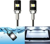 Xnourney License Plate Light, License Tag Screw Bolt LED, Super Bright 12V Waterproof License Plate LED Bulb Motorcycle Tag Lights Legal for Motorcycle Bike Truck RV ATV