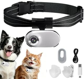 ehomful HD 1080P Cat Camera Collar with Video Record Wireless Mini Sport cam,Small Action Cameras,Body Camera for Pet Supplies/Stuff,Outdoor/Inoor Birthday Gift No WiFi