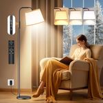 Caromolly Light Therapy Lamp, 15000 Lux Daylight Lamp with Remote Control, Adjustable Color/Brightness/Timer, Modern Light Therapy Floor Lamp with Linen Shade for Bedroom, Office, Living Room （Black）