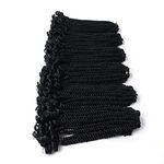 Eunice 6 Packs 12 Inch Black Crochet Hair Braids Short Havana Mambo Twist Crochet Braiding Hair Senegalese Twists Hairstyles For Black Women 20 Strands/Pack (#1B)