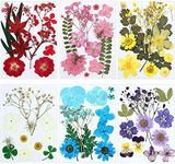 eBoot 72 Pcs Dried Pressed Flowers 