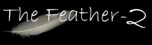 "THE FEATHER-2" ACCORDION MICROPHONES with 2 FLEXIBLE MICRO-GOOSENECK MICS by Myers Pickups ~ See it in ACTION! Copy and paste: myerspickups.com